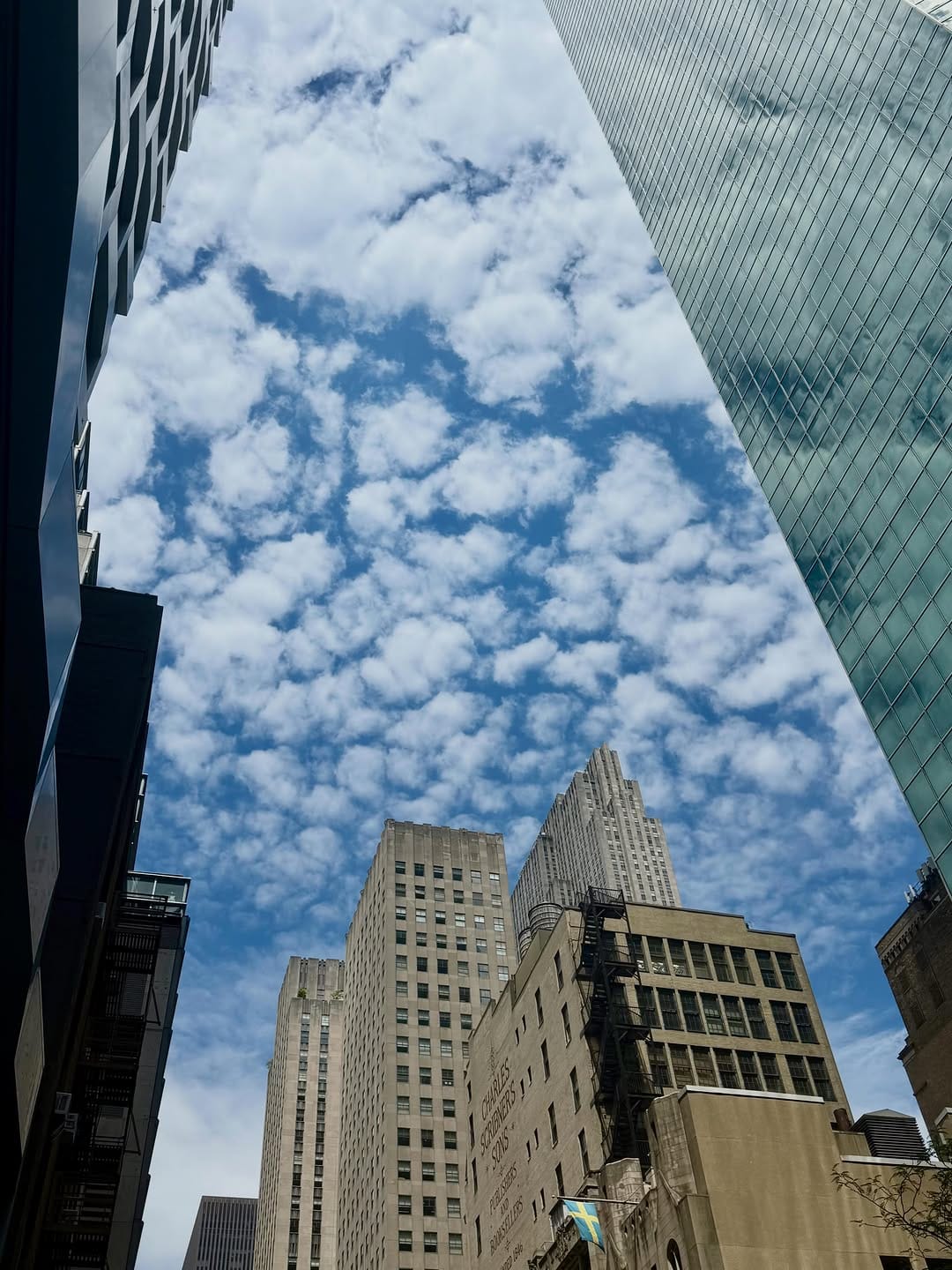 Post 3 by Andrew Macpherson on Instagram (image)