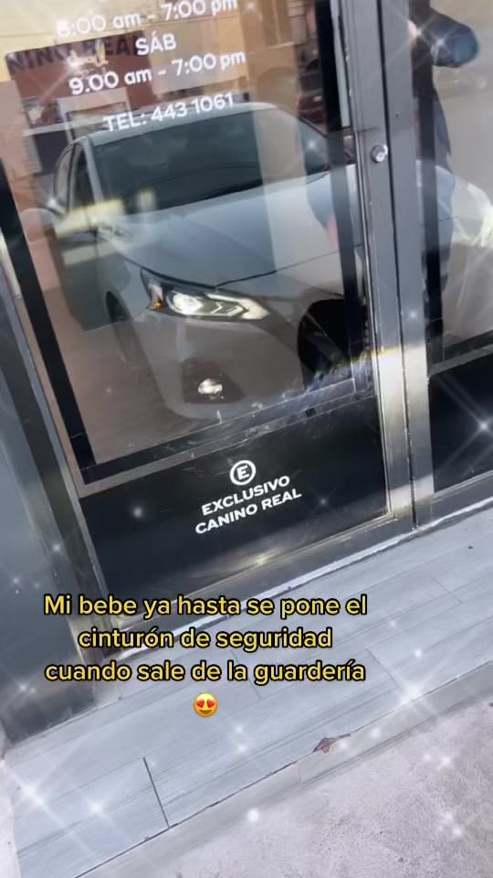 Post 9 by Miloorozco on TikTok (video)