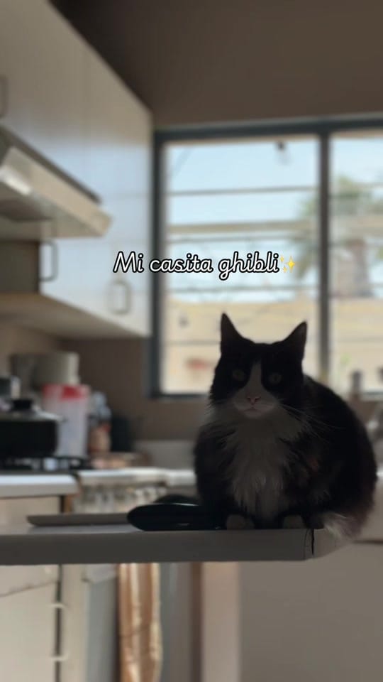 Post 9 by Mermaiid_cc 𓇼 ⋆.˚ 𓆉 𓆝 𓆡⋆.˚ on TikTok (video)