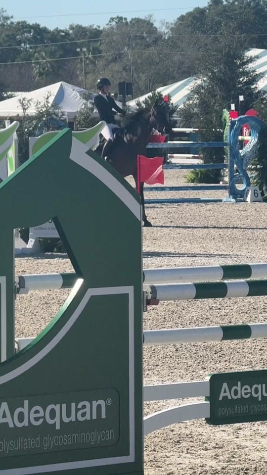 Post 10 by bri leone on TikTok (video)