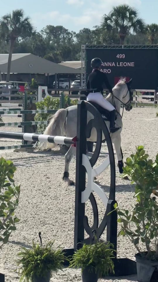 Post 1 by bri leone on TikTok (video)