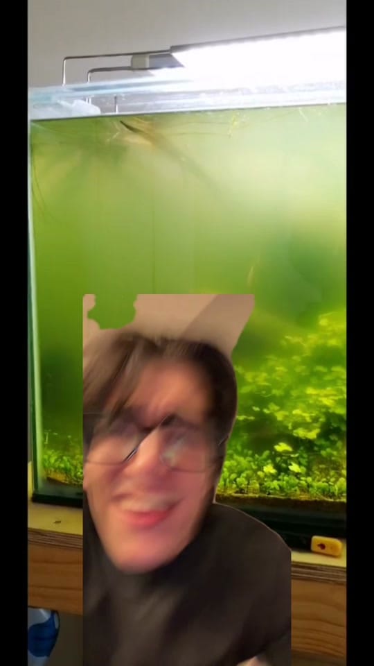 Post 4 by Lumalight Shop on TikTok (video)