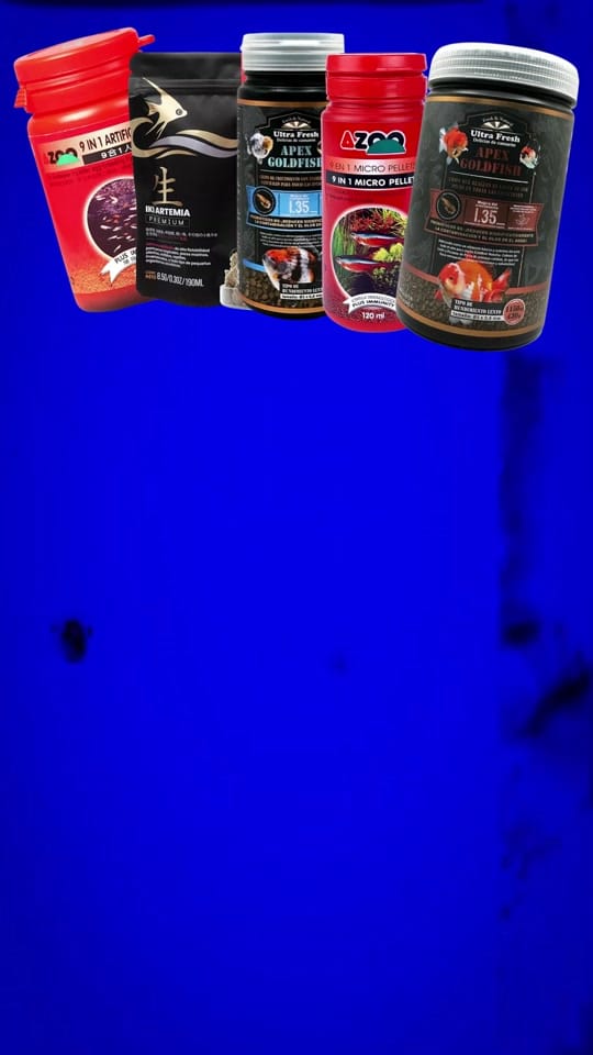Post 2 by Lumalight Shop on TikTok (video)