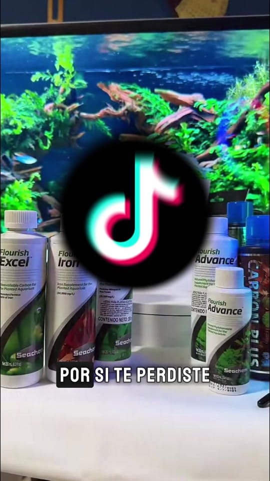 Post 8 by Lumalight Shop on TikTok (video)