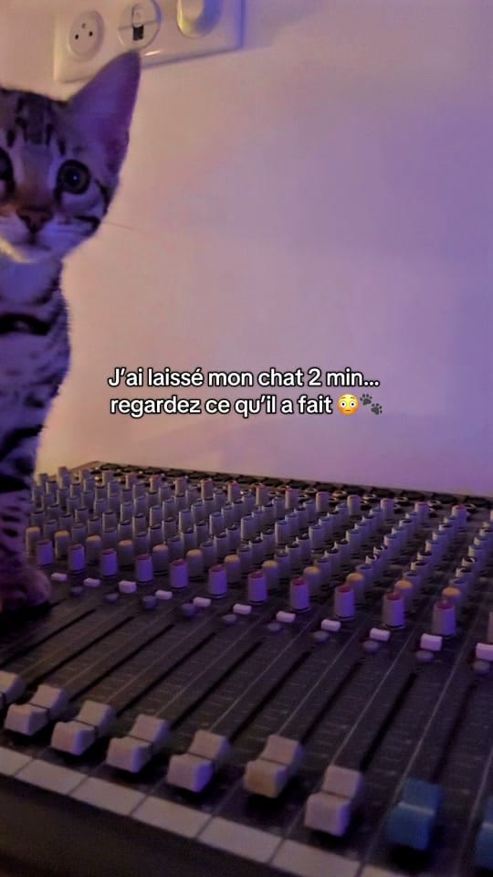 Post 10 by DJ YUNUS ERASLAN on TikTok (video)