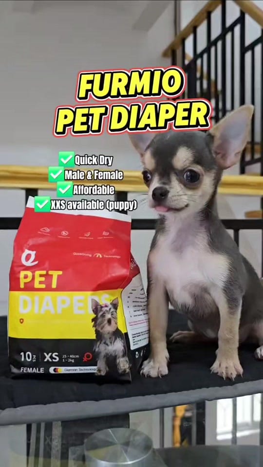 Post 4 by Chihuahua Ville PH on TikTok (video)