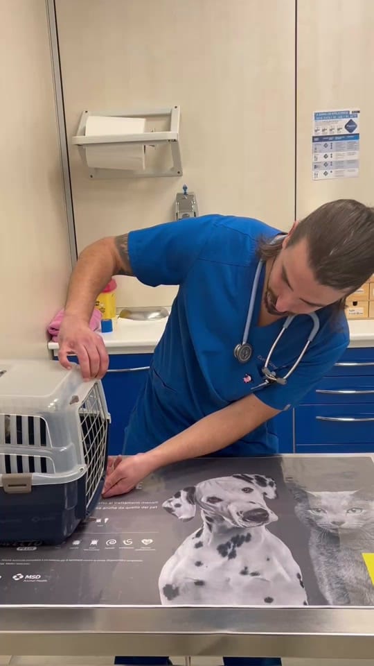 Post 10 by Dott. Leonardo Amato on TikTok (video)