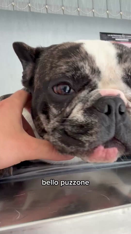 Post 7 by Dott. Leonardo Amato on TikTok (video)