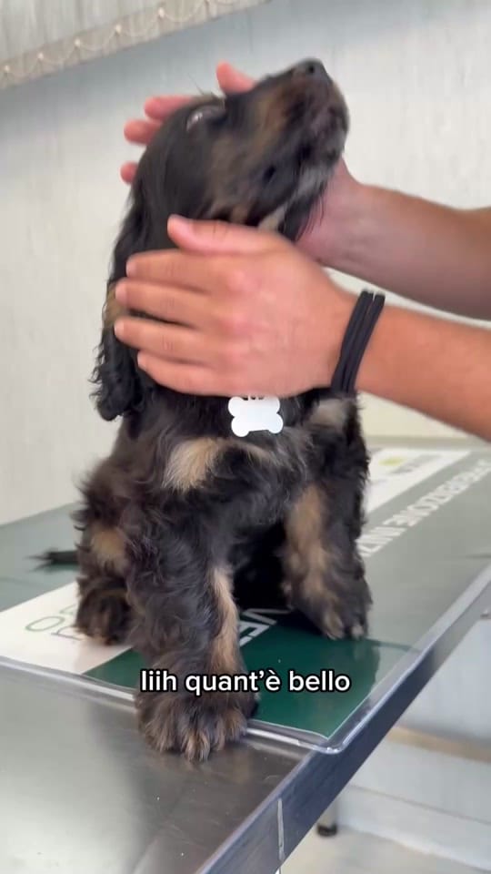 Post 4 by Dott. Leonardo Amato on TikTok (video)