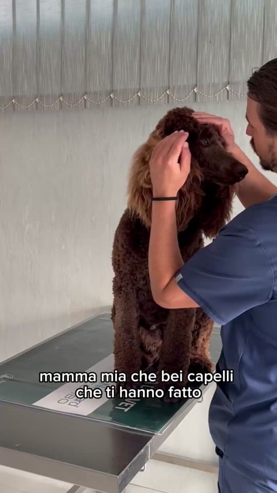 Post 1 by Dott. Leonardo Amato on TikTok (video)