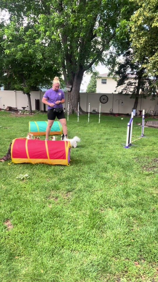 Post 4 by Jenily111 on TikTok (video)