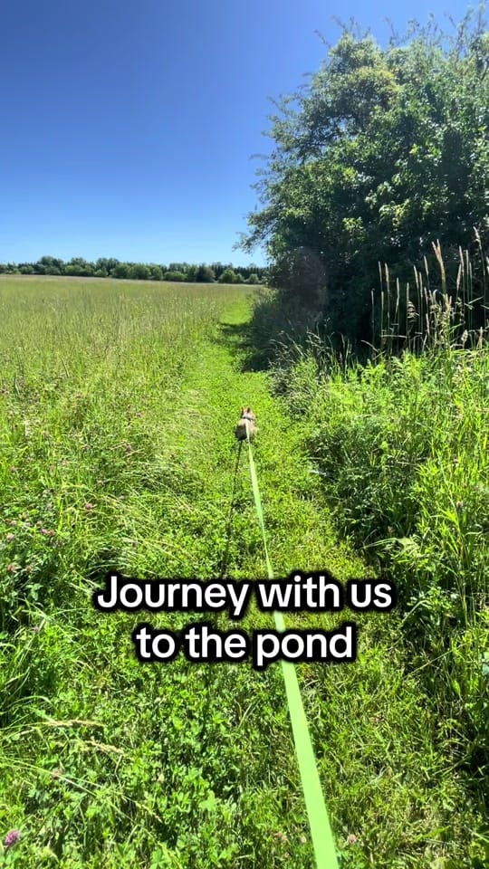 Post 6 by Jenily111 on TikTok (video)