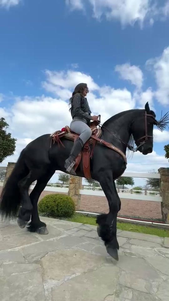 Post 3 by ADSupreme on TikTok (video)
