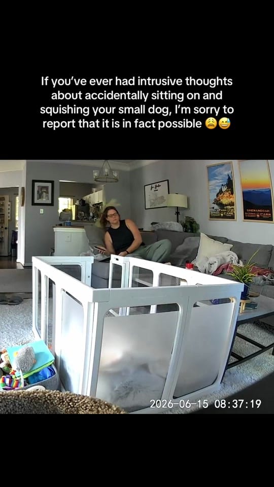 Post 6 by 🐶 Trainer | Juliana & Matilda on TikTok (video)