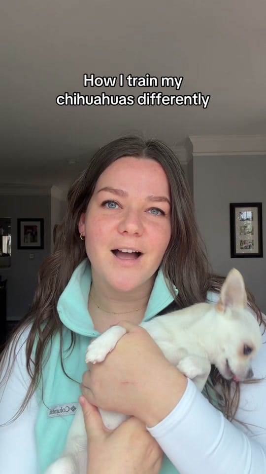 Post 9 by 🐶 Trainer | Juliana & Matilda on TikTok (video)