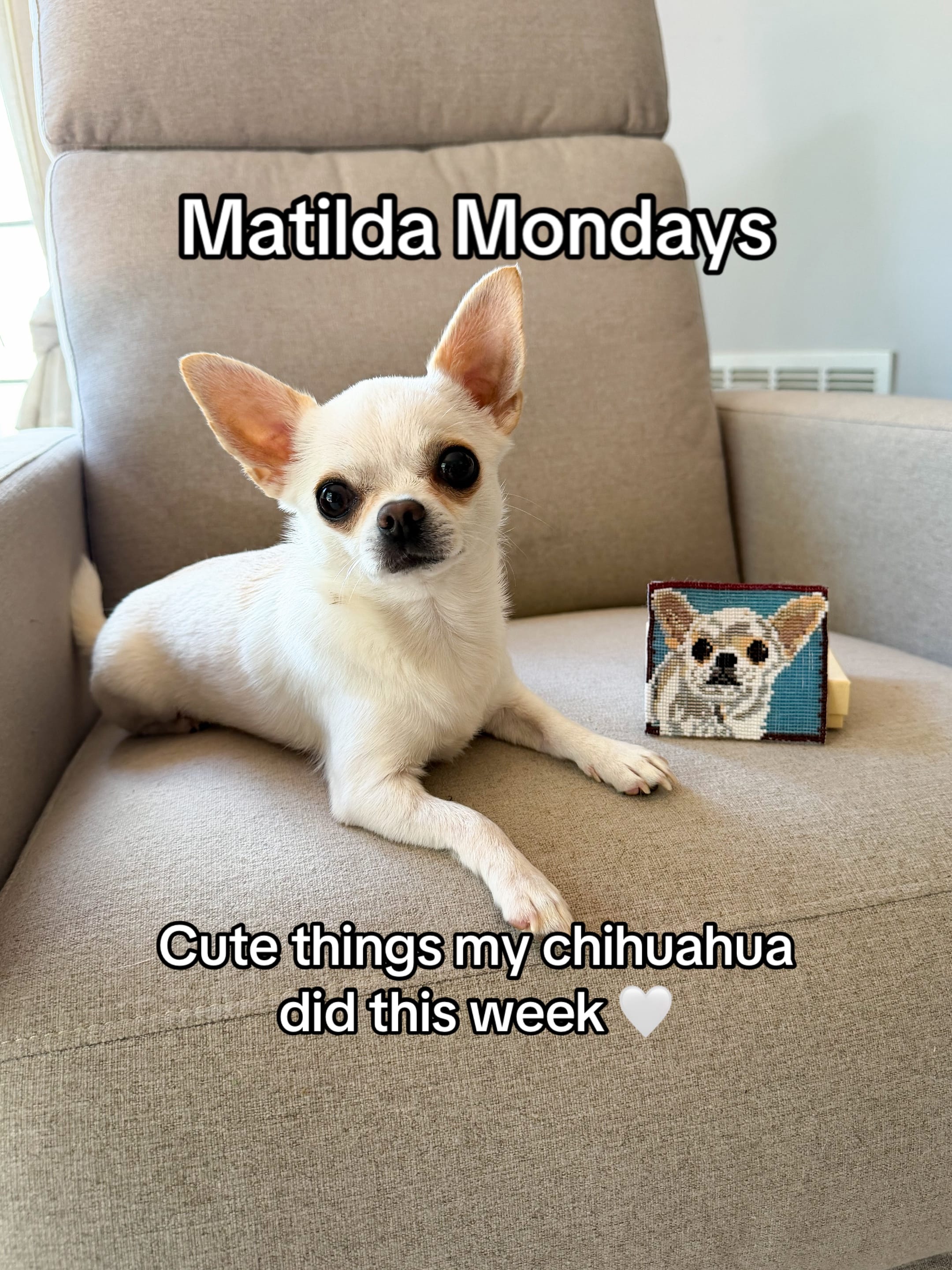 Post 7 by 🐶 Trainer | Juliana & Matilda on TikTok (video)