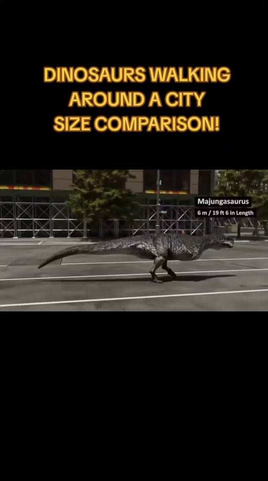 Post 10 by nichecomparisons11 on TikTok (video)