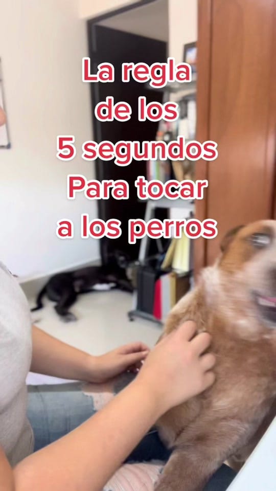 Post 8 by SanPerromx on TikTok (video)