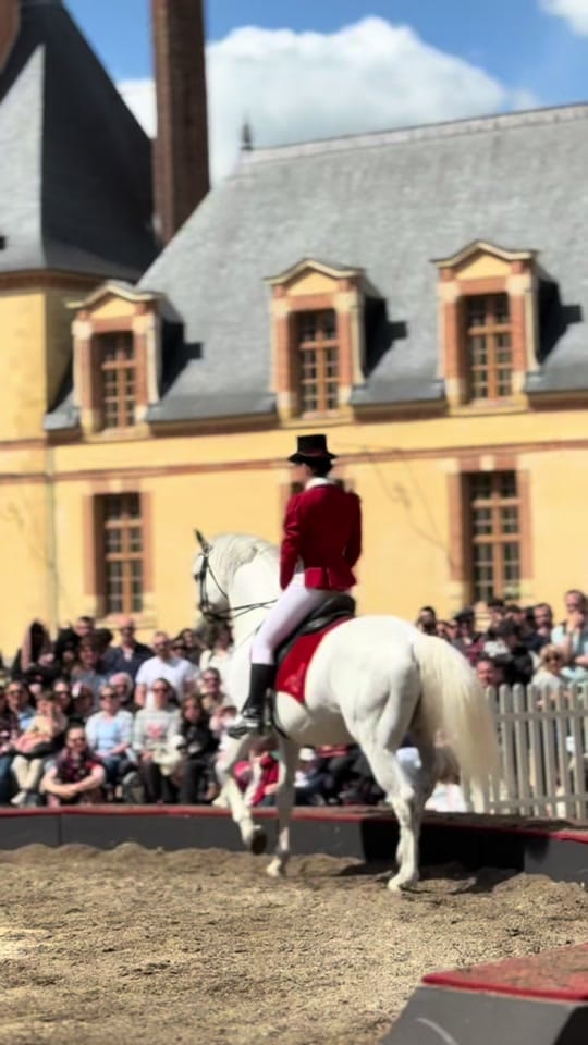 Post 6 by LesFoliesGruss on TikTok (video)