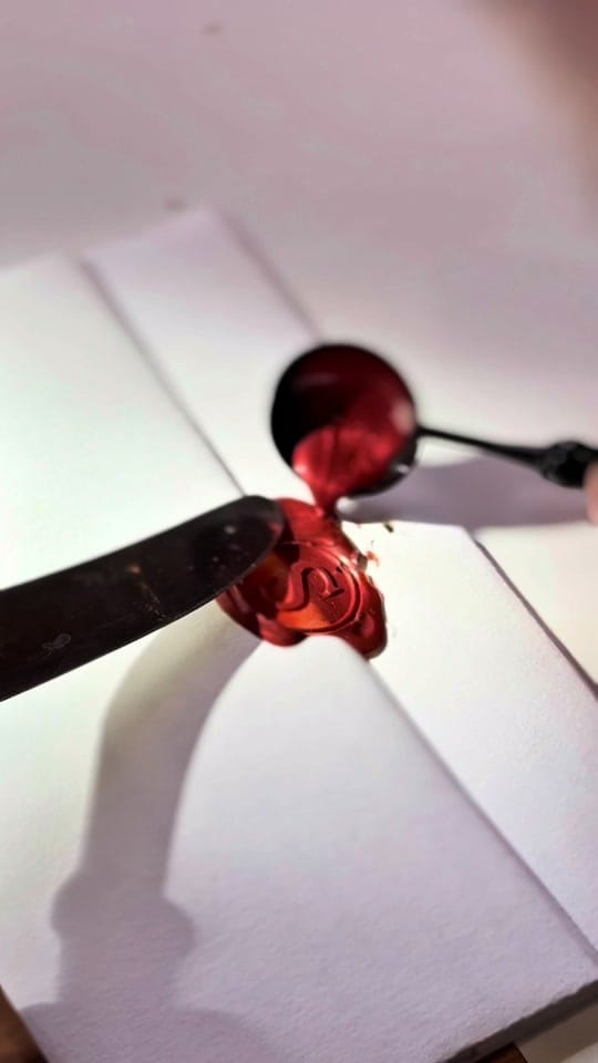 Post 8 by LesFoliesGruss on TikTok (video)