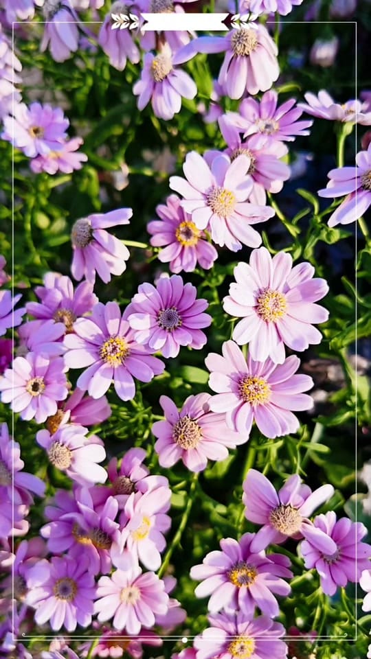 Post 3 by jenojen créations on TikTok (video)