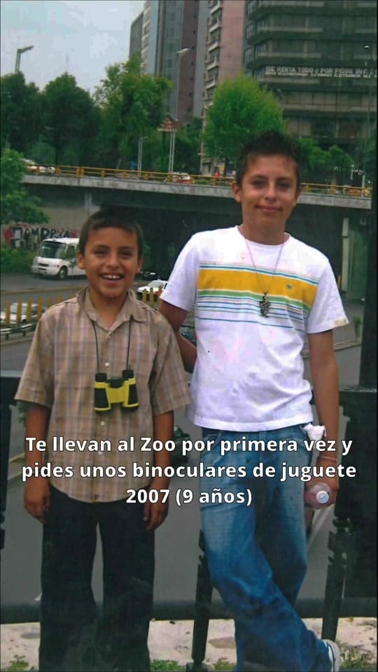 Post 10 by Mundo Salvaje on TikTok (video)