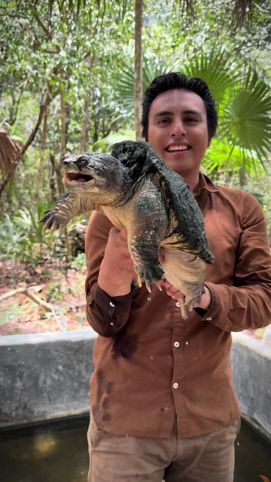Post 8 by Mundo Salvaje on TikTok (video)