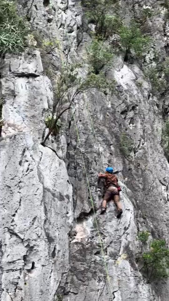 Post 2 by Mundo Salvaje on TikTok (video)