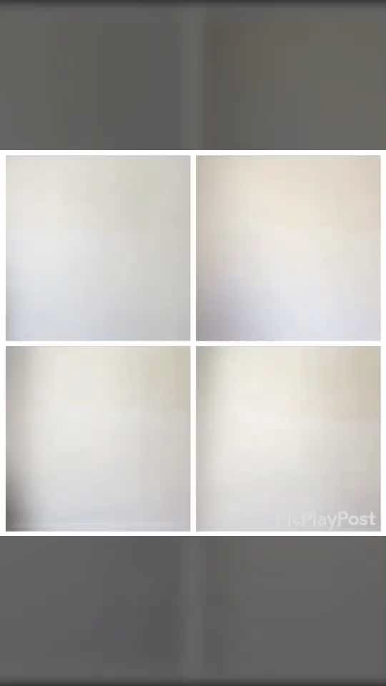 Post 3 by 🌹Tess et Leone🌹 on TikTok (video)