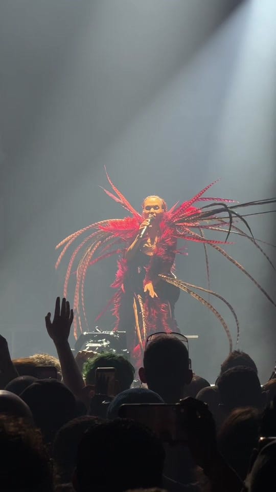 Post 7 by adidas arena on TikTok (video)
