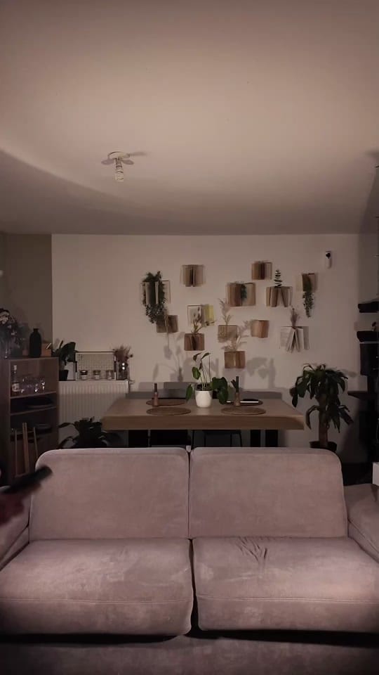 Post 4 by Quentin Mazuel on TikTok (video)