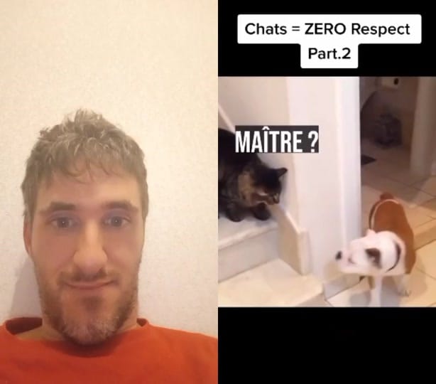 Post 10 by racillion on TikTok (video)