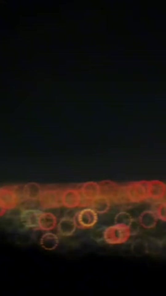 Post 4 by ♡GB┊ʙᴇᴀᴛ͢͢͢ʀɪz❀᭄ on TikTok (video)