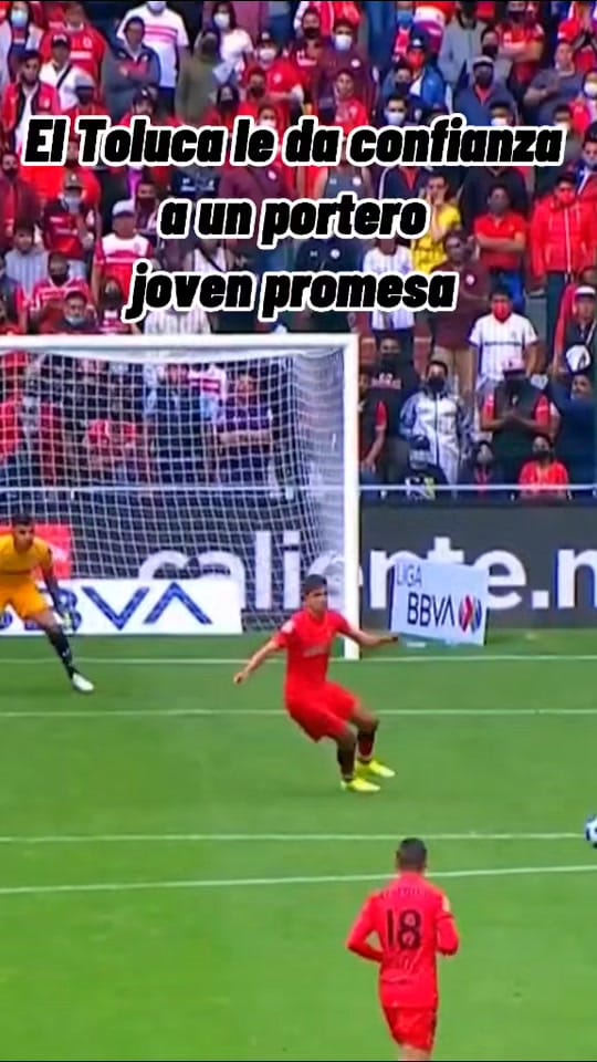 Post 4 by Tolucafc on TikTok (video)