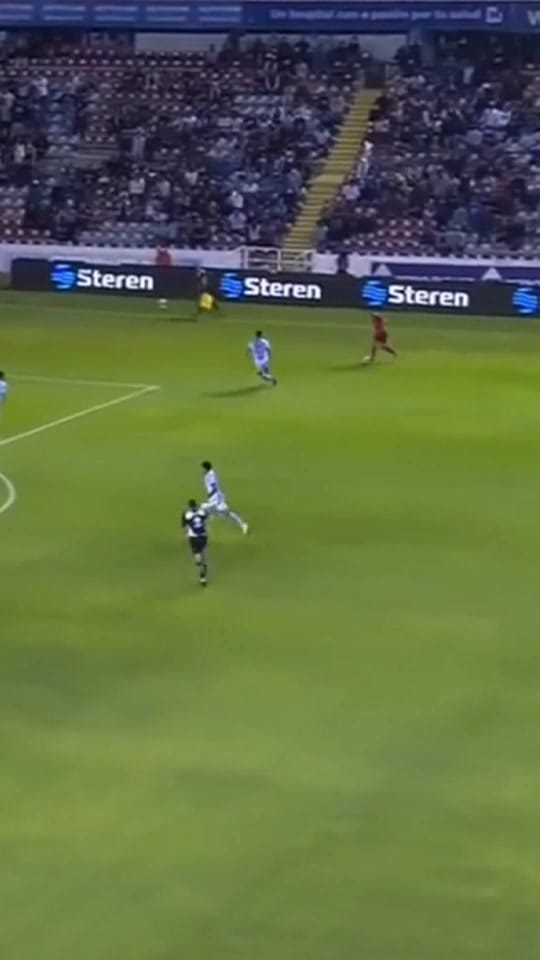 Post 3 by Tolucafc on TikTok (video)