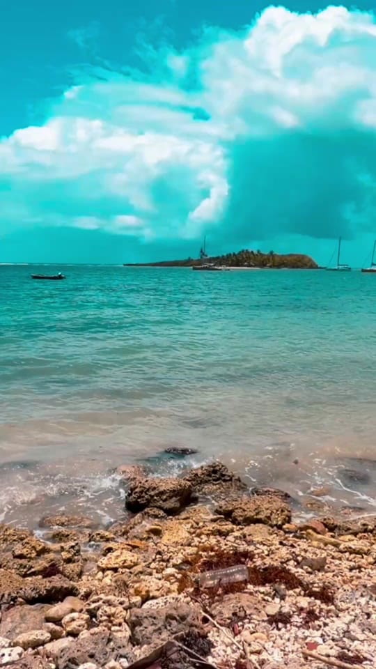 Post 4 by Kim Officiel on TikTok (video)