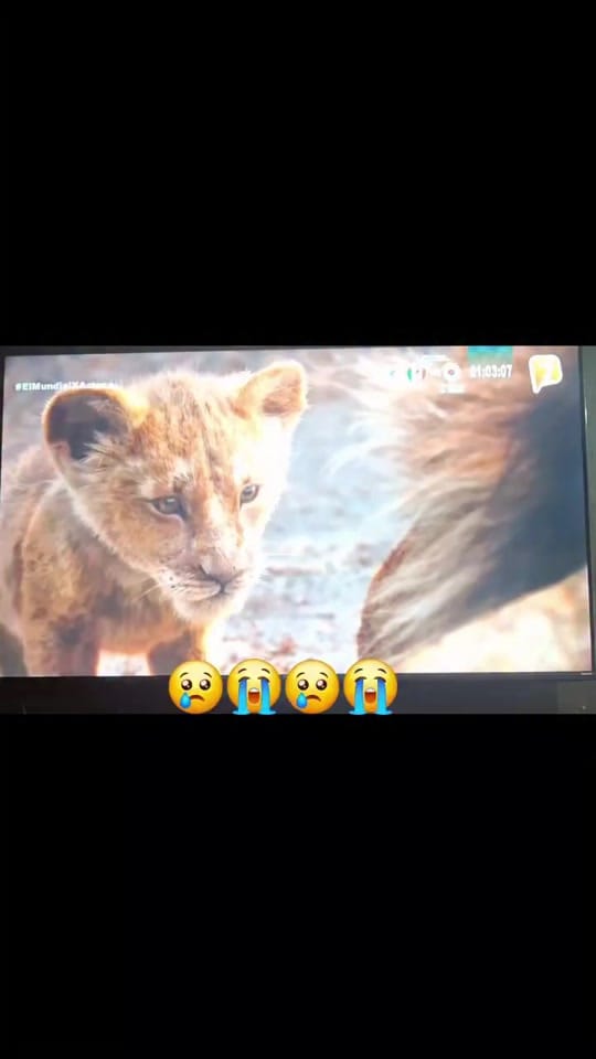 Post 3 by Alejandra 🌸 on TikTok (video)