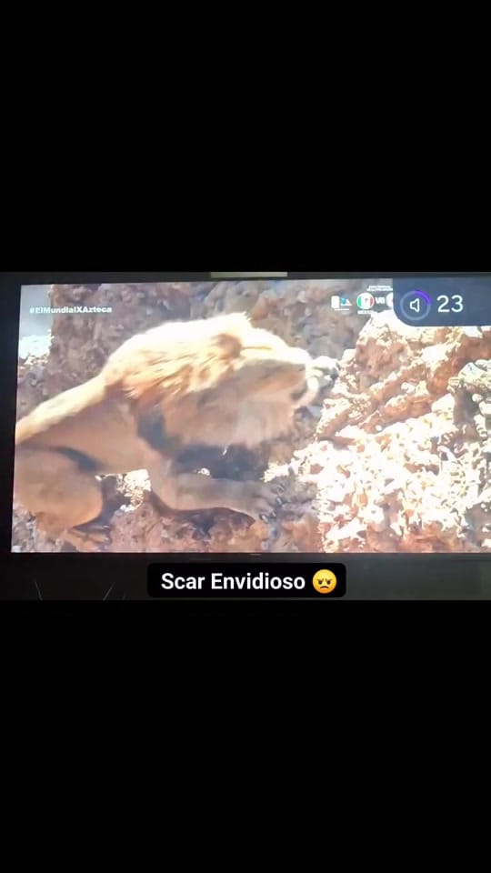 Post 2 by Alejandra 🌸 on TikTok (video)