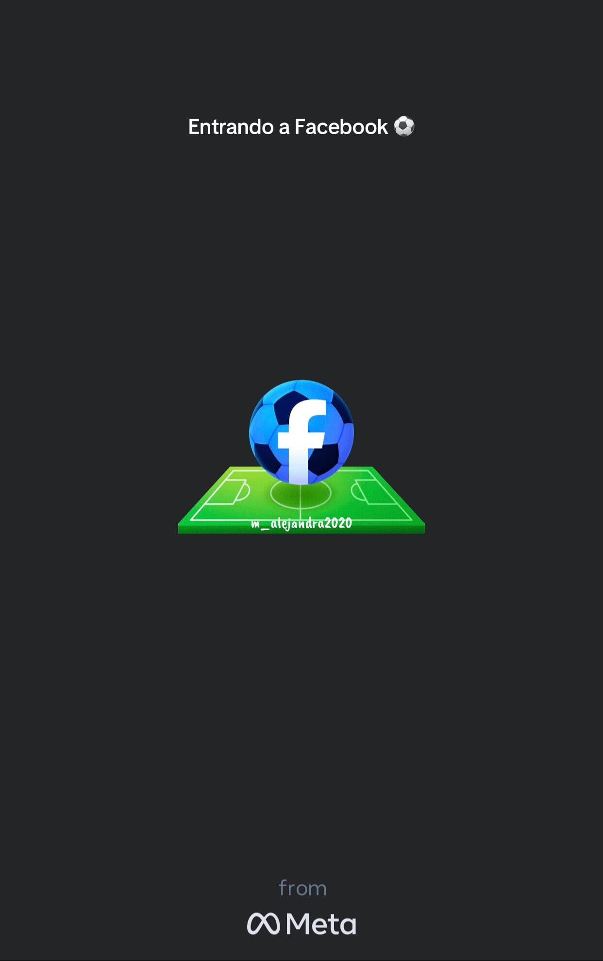 Post 9 by Alejandra 🌸 on TikTok (video)