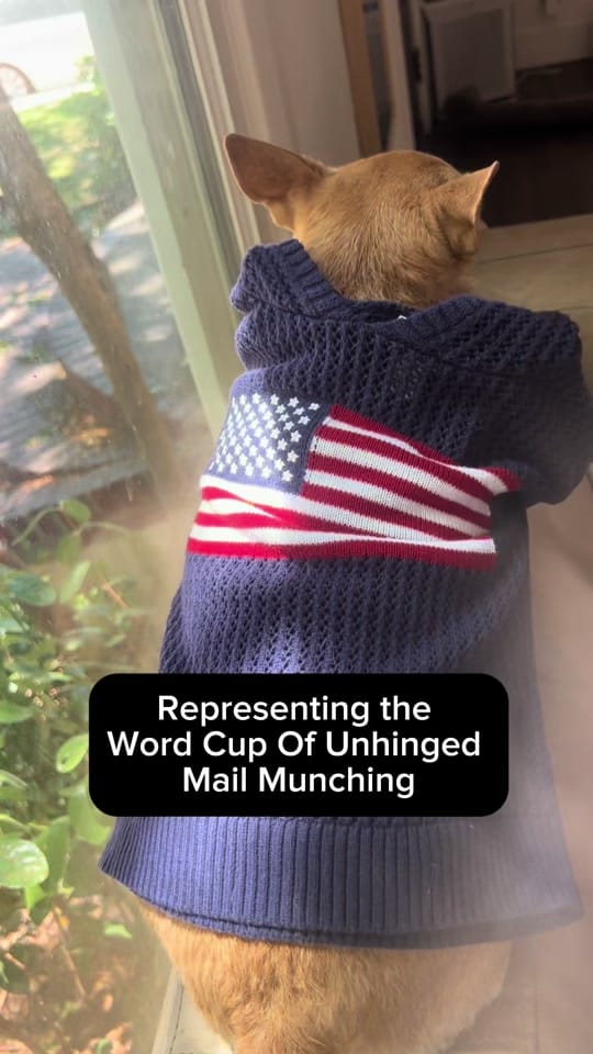 Post 3 by ShopCatLoafClub on TikTok (video)