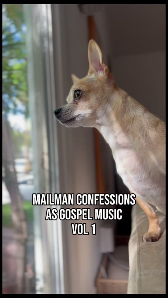 Post 1 by ShopCatLoafClub on TikTok (video)