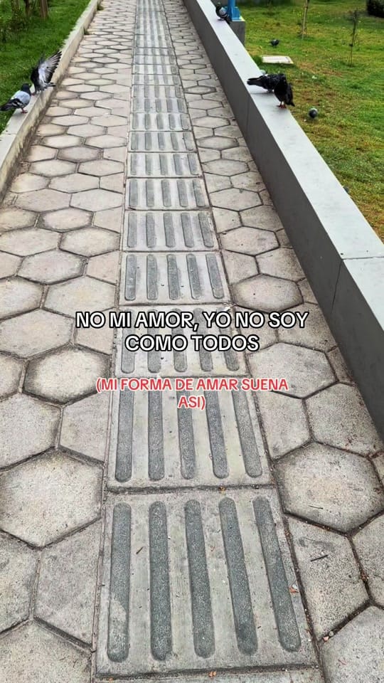 Post 7 by william_18y  on TikTok (video)