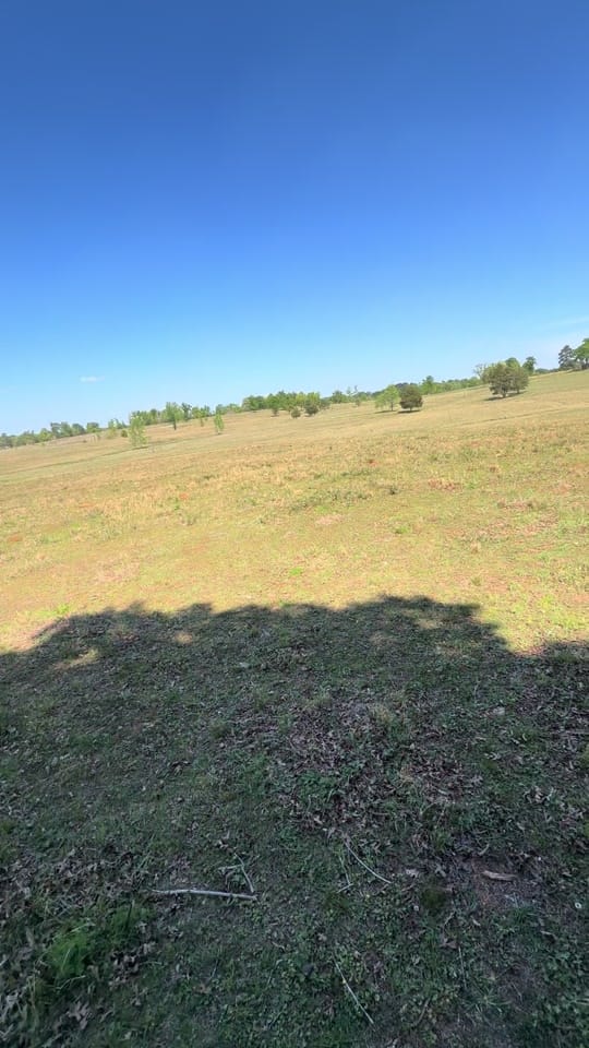 Post 2 by Jaime Aguilar on TikTok (video)