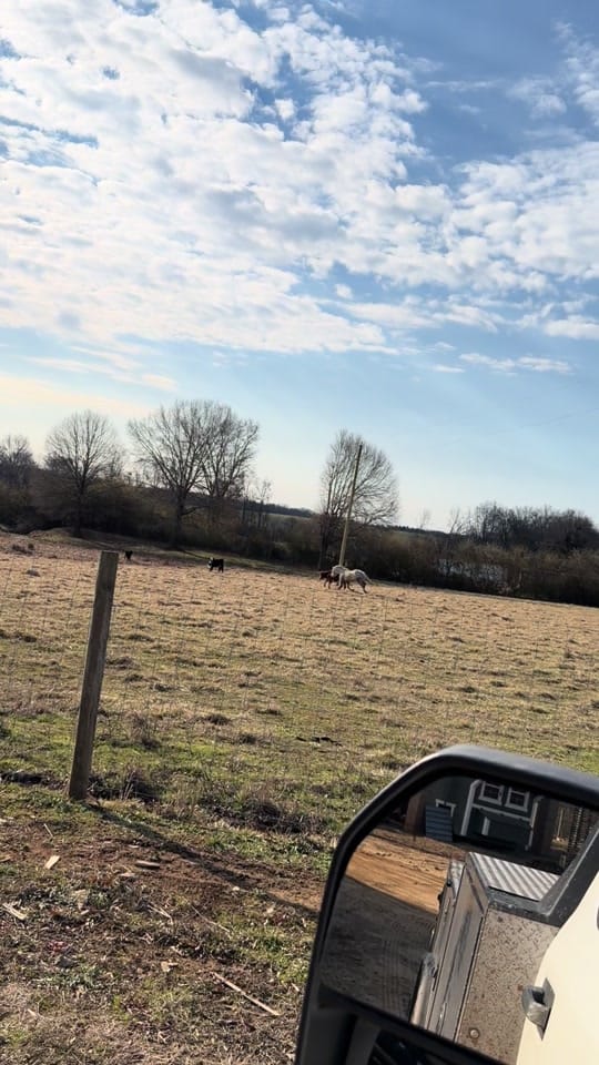 Post 10 by Jaime Aguilar on TikTok (video)