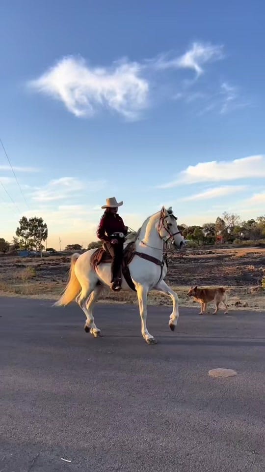 Post 2 by Jenny_oroz4 on TikTok (video)