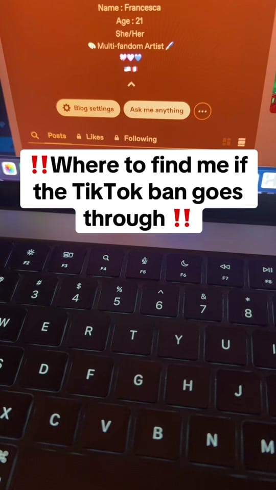 Post 6 by 🎃🐈‍⬛NoodlesandToons🐈‍⬛🎃 on TikTok (video)
