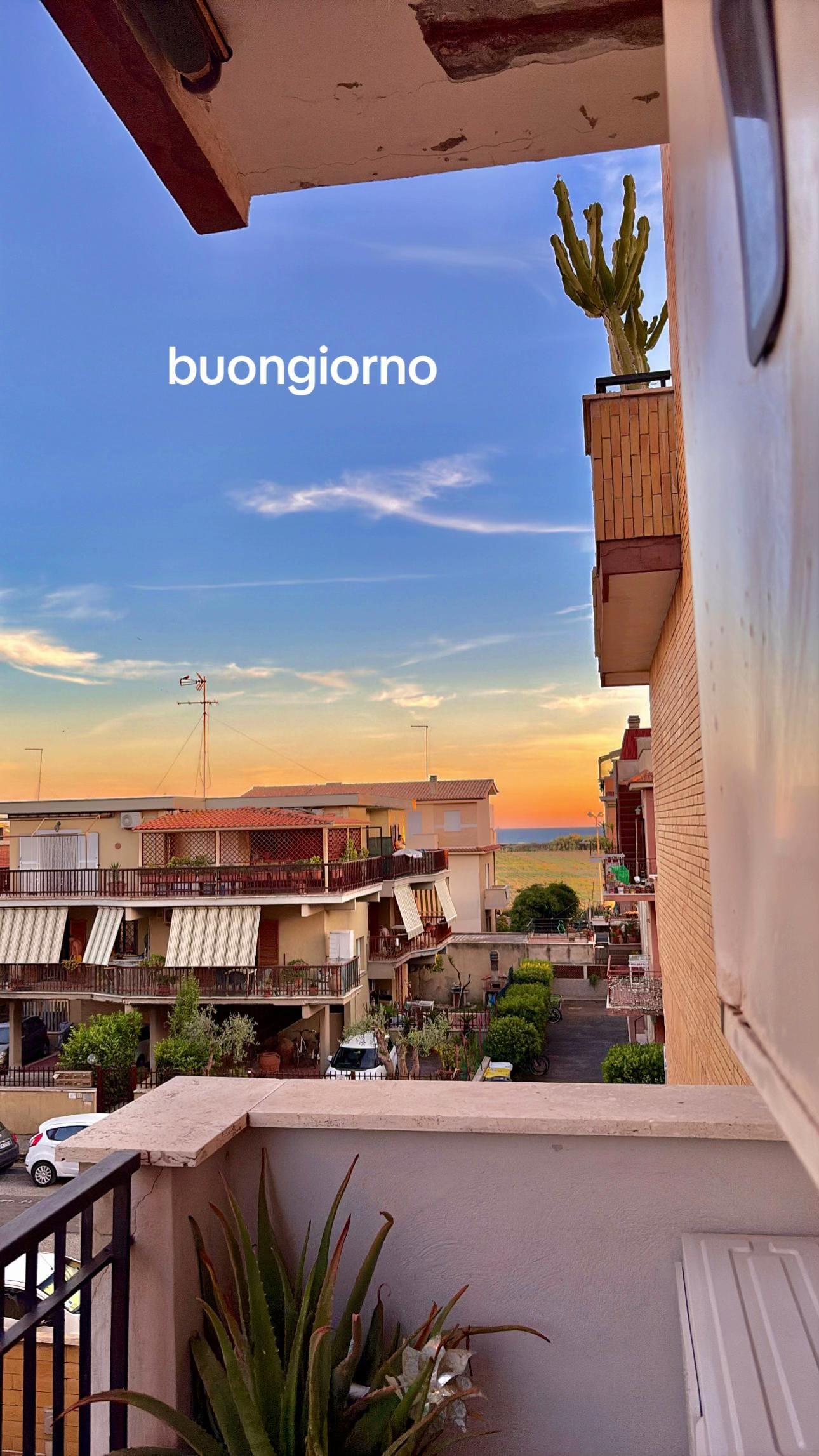 Post 7 by francesco manzo🪬 on TikTok (video)