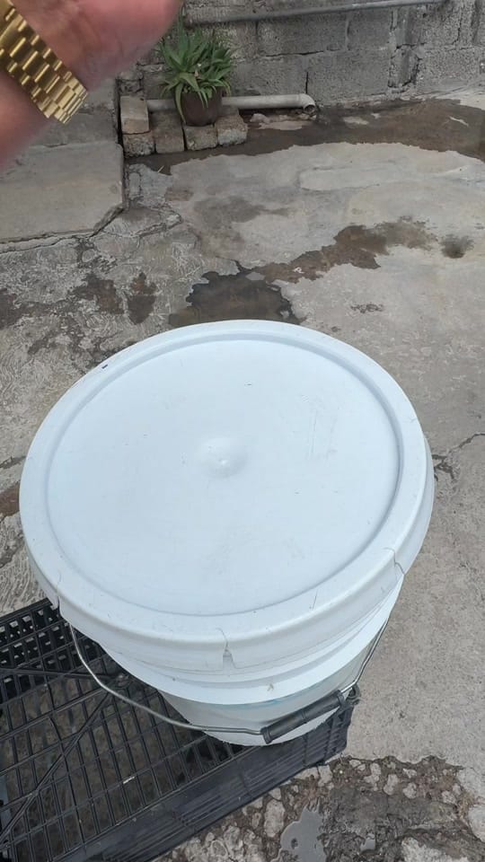 Post 10 by Papas Roy on TikTok (video)