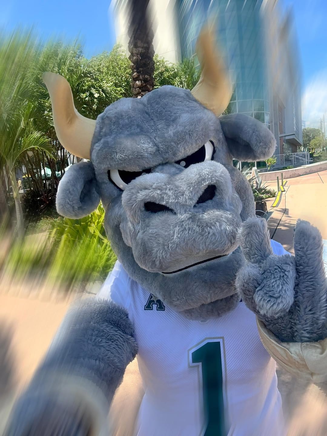 Post 3 by USF Alumni Association on Instagram (image)