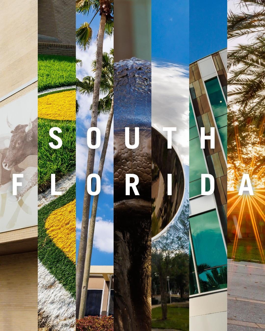 Post 5 by USF Alumni Association on Instagram (carousel)